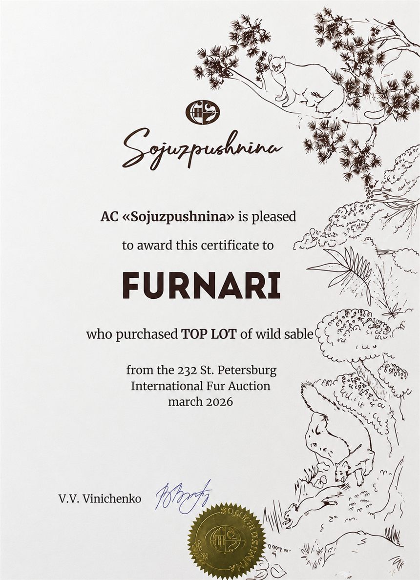 certificate.jpg